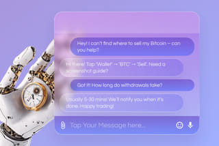 Professional crypto customer support and assistance at Brando Pouparia